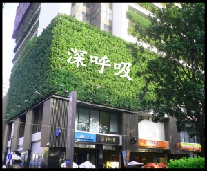 南京立体绿化