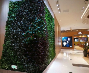 江油植物墙