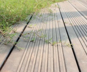 洪湖竹木地板
