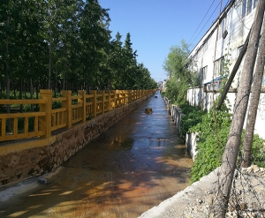 阳江河道护栏