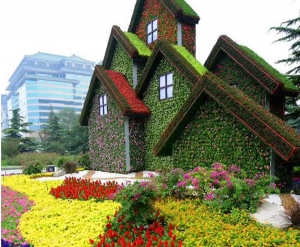 台山大连房屋绿化