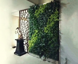 台山大连植物墙