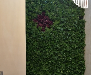 台山大连植物墙设计