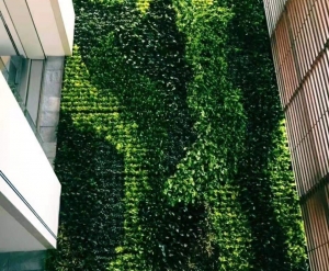 台山大连绿植墙