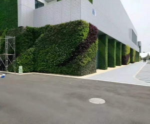郑州大连墙体绿化